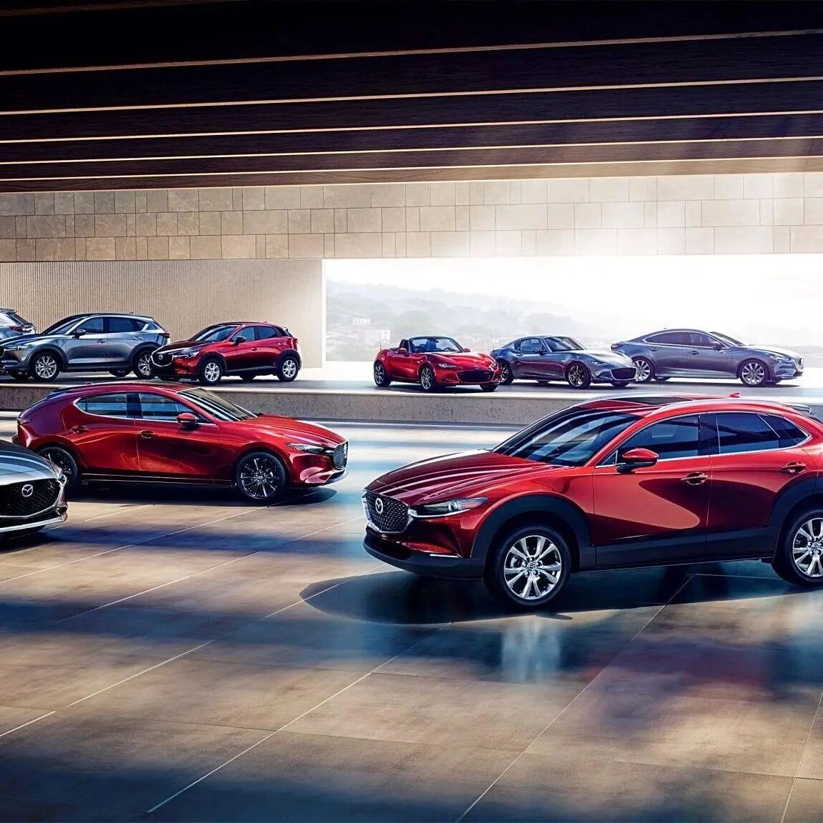 日韩汽车股集体大跌！