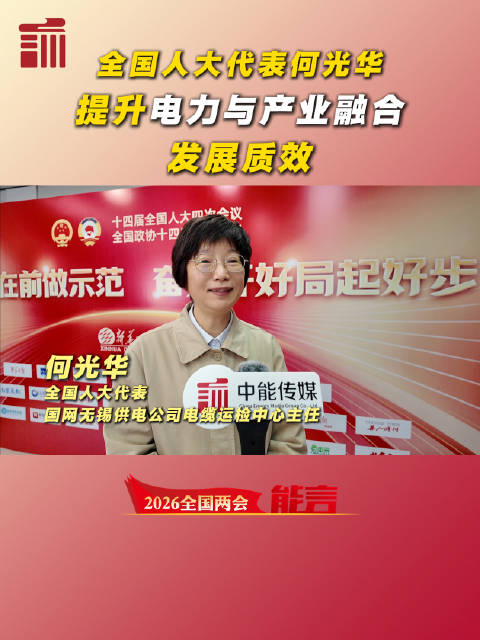 全国人大代表、国网无锡供电公司电缆运检中心主任何光华：提升电力与产业融合发展质效 | 两会能言