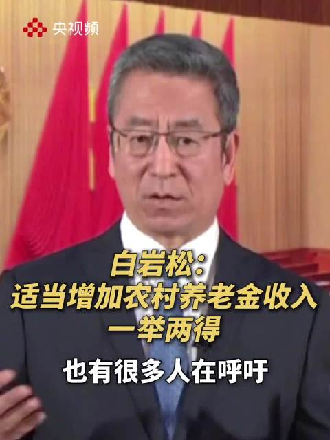 白岩松谈农村养老金：每月200元太低了