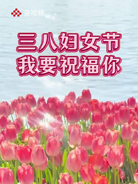 愿你以妇女之名绽放光芒