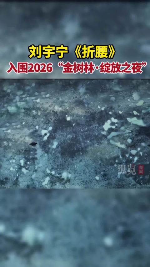 刘宇宁折腰入围金树林绽放之夜