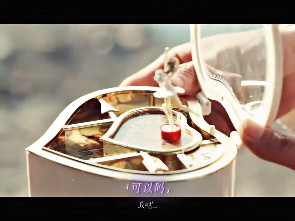 小贝的忠诚写在眼里与行动里