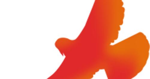 两会声音 | 全国人大代表陈震： 将散落民族文化资源串珠成链