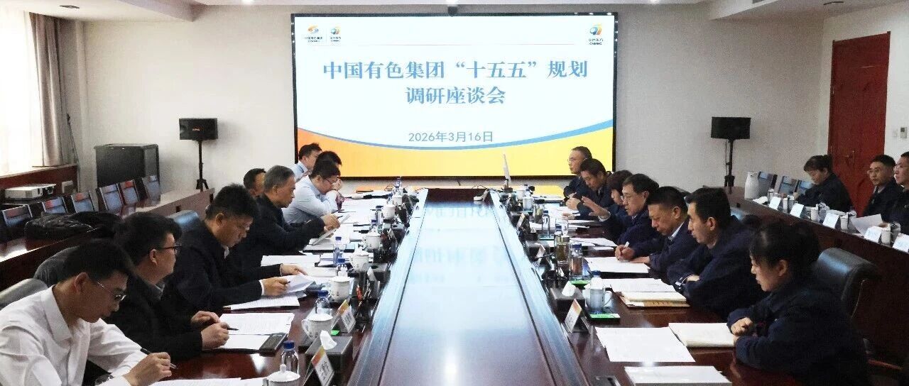 张晋军到中色东方开展工作调研