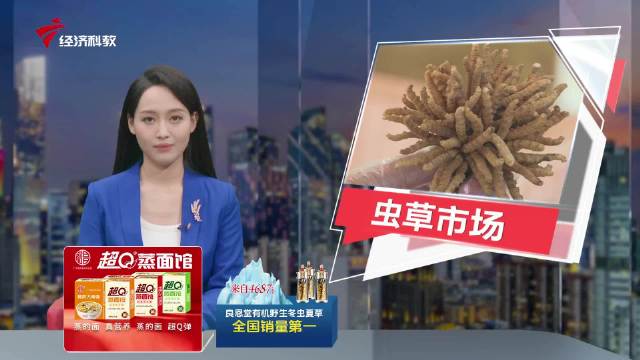 虫草市场乱象频出 良恩堂野生有机虫草以品质破局