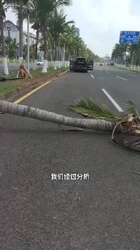理想MEGA智驾时撞树报废，4S店：用户未及时接管，车辆无质量问题