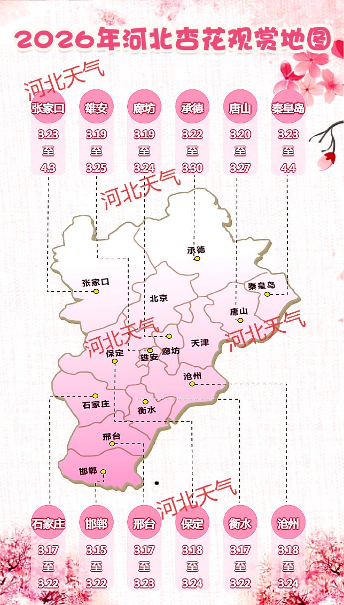 偶遇谢娜夜骑给张杰送花