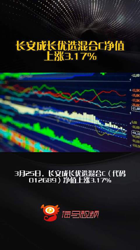 长安成长优选混合C净值上涨3.17%