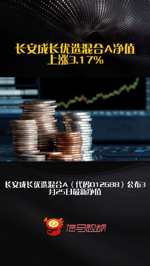 长安成长优选混合A净值上涨3.17%
