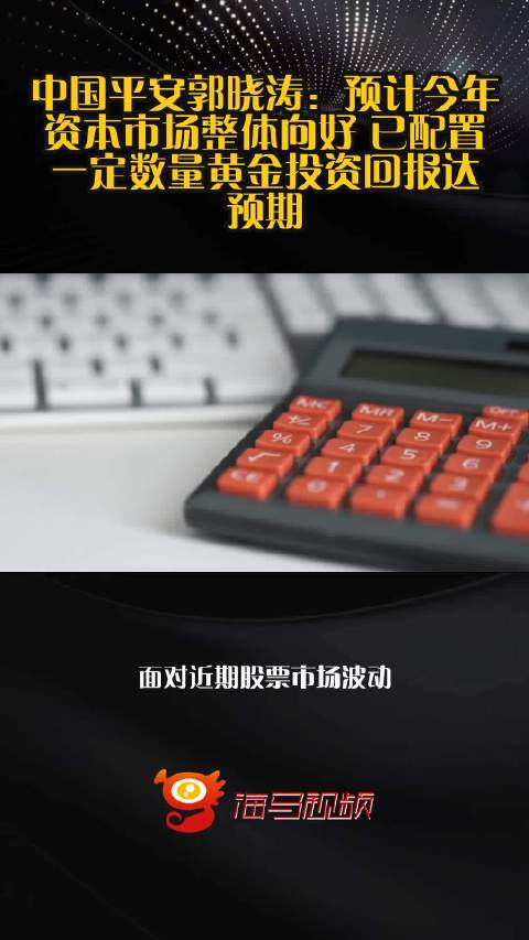 中国平安郭晓涛：预计今年资本市场整体向好 已配置一定数量黄金投资回报达预期