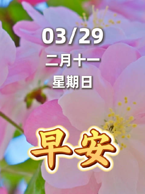 周深的歌声陪你去看繁花