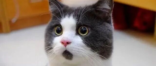 大消息！绕过霍尔木兹海峡！