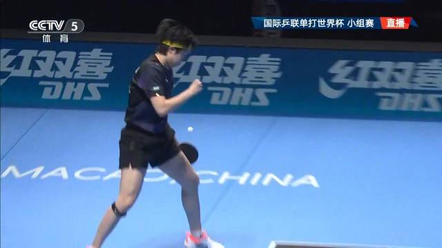 首战告捷！王楚钦开门红