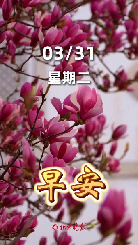 用丁禹兮的歌声和3月说拜拜