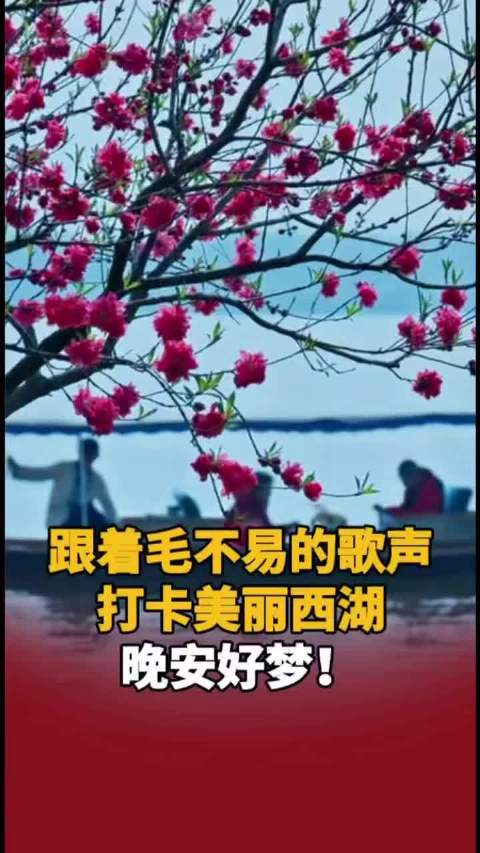 听着@毛不易 的歌声，将所有想的说的要的爱的都放在心上，晚安