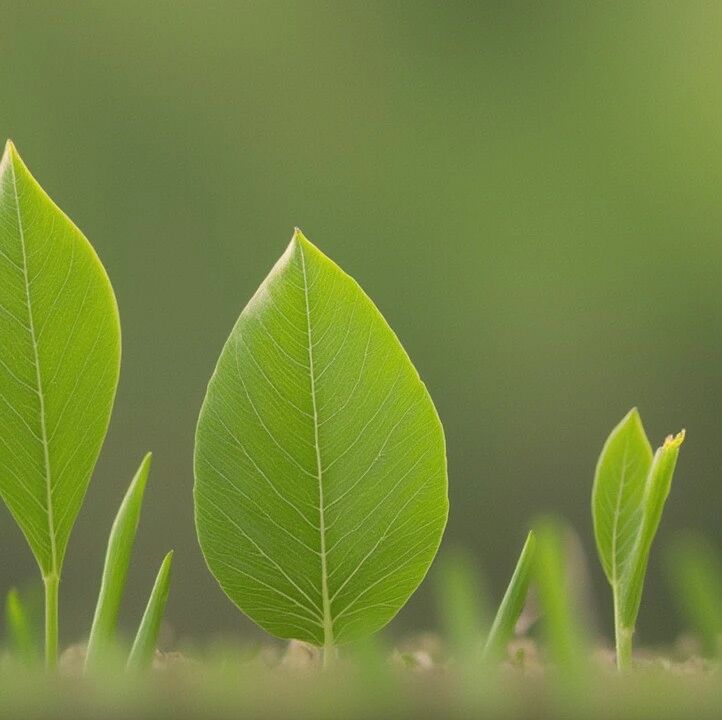 地方绿金 | 新疆博州首笔排污权质押贷款落地
