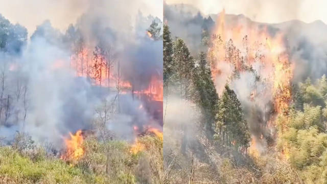 山西陵川县古郊乡山火明火基本扑灭：700人参与灭火 山西陵川县山火未波及王莽岭景区