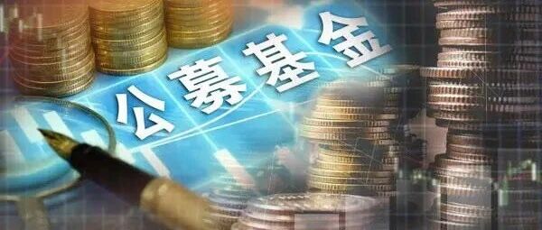 公募基金出手！践行“积极股东”角色