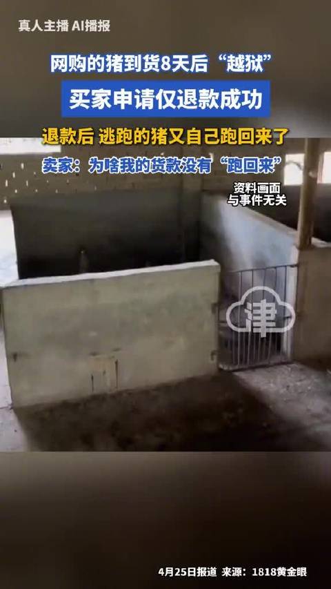 “跑得跟飞机一样” 网购的猪到货8天后越狱
