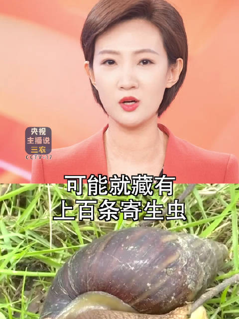 这种大蜗牛千万别吃别碰