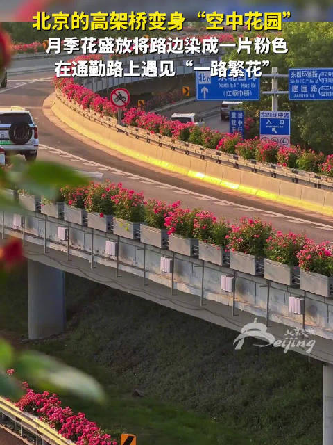 一路繁花
