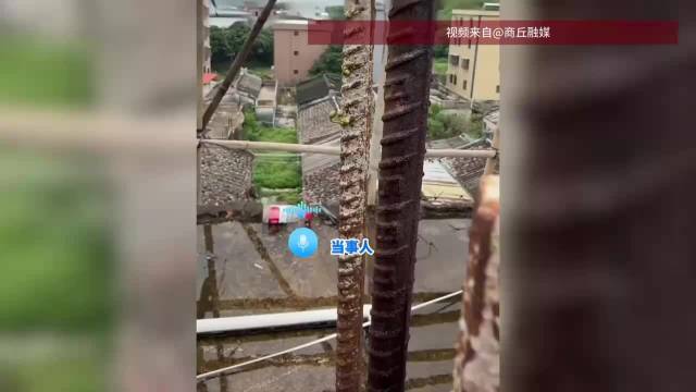 未盖完房子钢筋里发出嫩芽