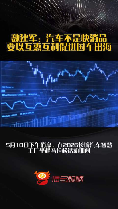 魏建军：汽车不是快消品，要以互惠互利促进国车出海