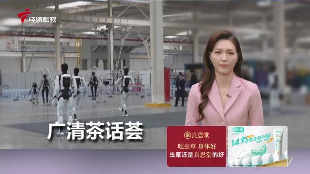 广清茶话荟·走进长三角（合肥）汽车零部件产业交流暨招商推介会
