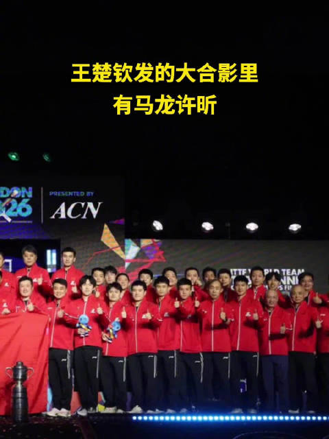 王楚钦发的大合影里有马龙许昕