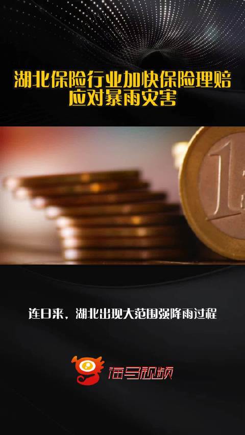 湖北保险行业加快保险理赔应对暴雨灾害