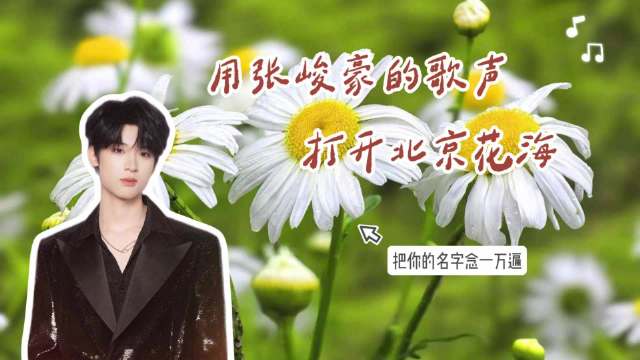 走花路！用张峻豪的歌声打开北京花海