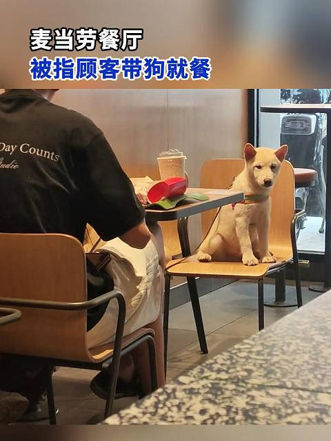 顾客带狗进麦当劳就餐