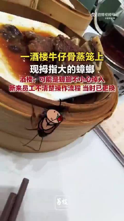 酒楼蒸笼上现拇指大蟑螂