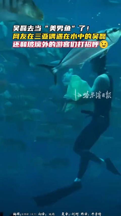 吴磊自由潜水仿佛人鱼王子