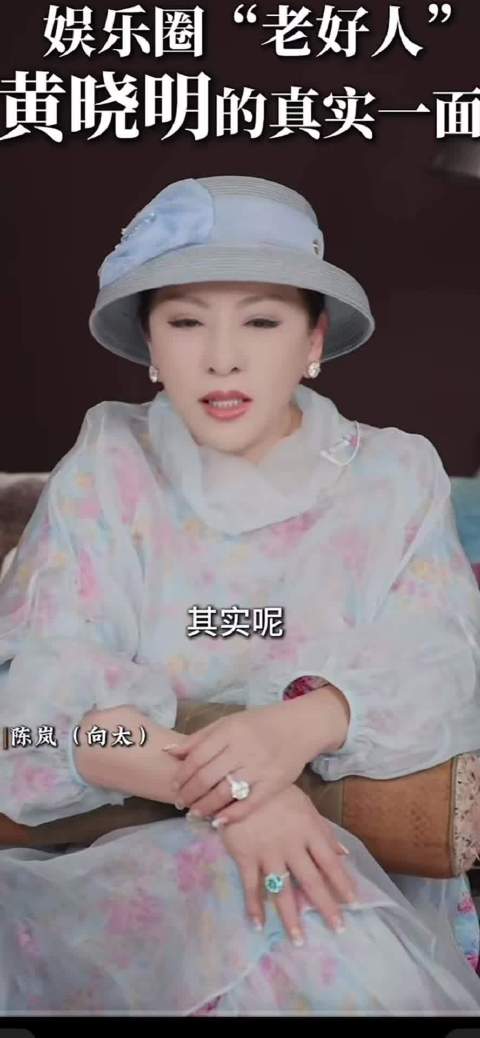 向太称黄晓明是娱乐圈老好人