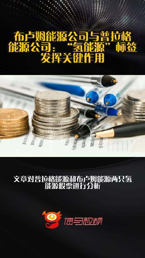 布卢姆能源公司与普拉格能源公司：“氢能源”标签发挥关键作用