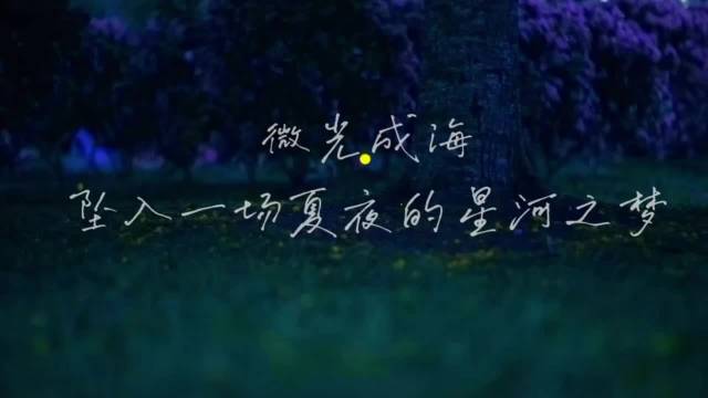 西双版纳植物园六月现萤火星海奇观