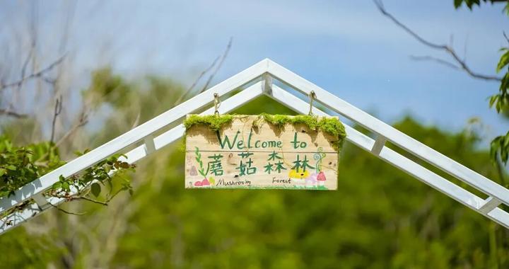 草坪音乐会+篝火，大小朋友在青浦这里玩嗨啦！