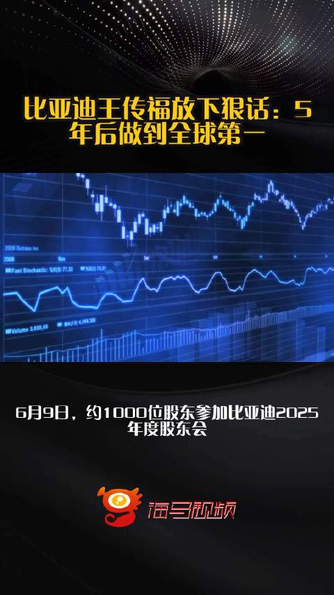 比亚迪王传福放下狠话：5年后做到全球第一