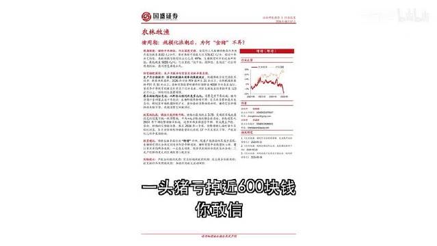 猪价十年新低 金猪为何不再?