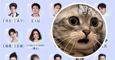 内娱大型“掉马甲”！你知道孙俪杨紫张凌赫的真名吗？陌生得好似菜市场摊主
