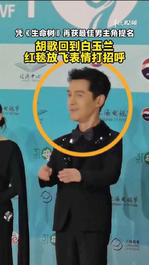胡歌回到白玉兰，红毯放飞表情打招呼