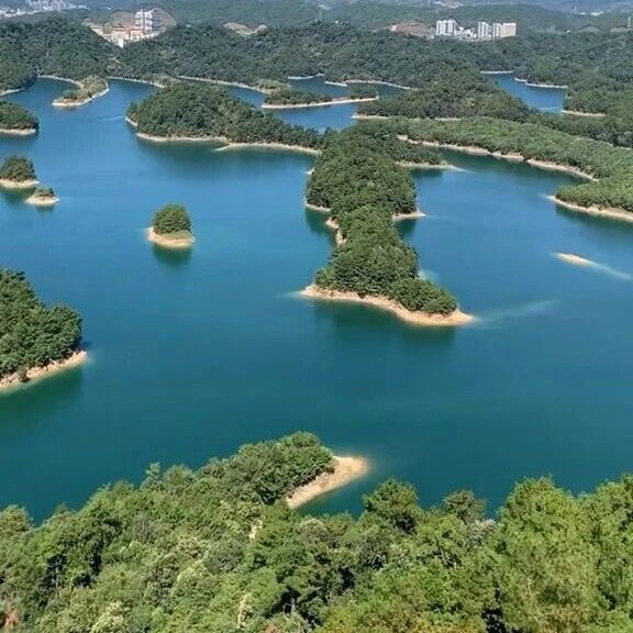 绿色金融在“浙”里