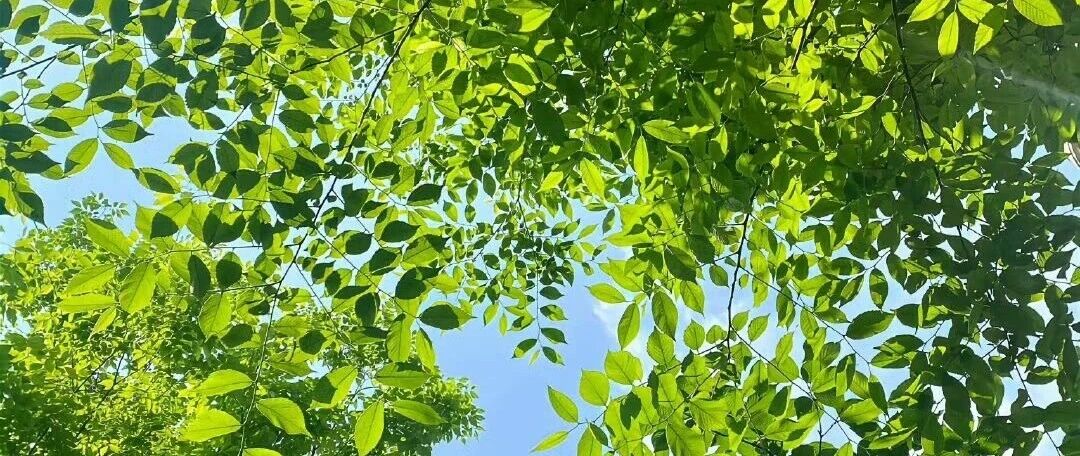 绿金新闻 | 《欧盟CBAM知识问答（第一期）》发布