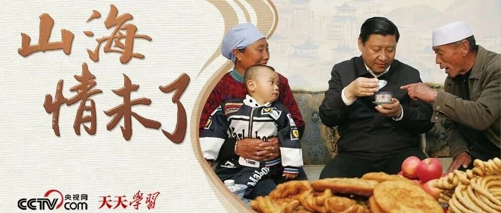 山海情未了