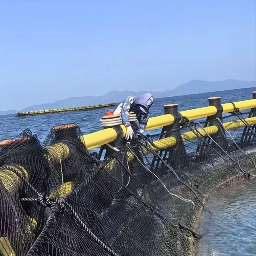 逆风而上!中国太保全力迎战台风“红霞” 逆风而上!中国太保全力迎战台风“红霞”