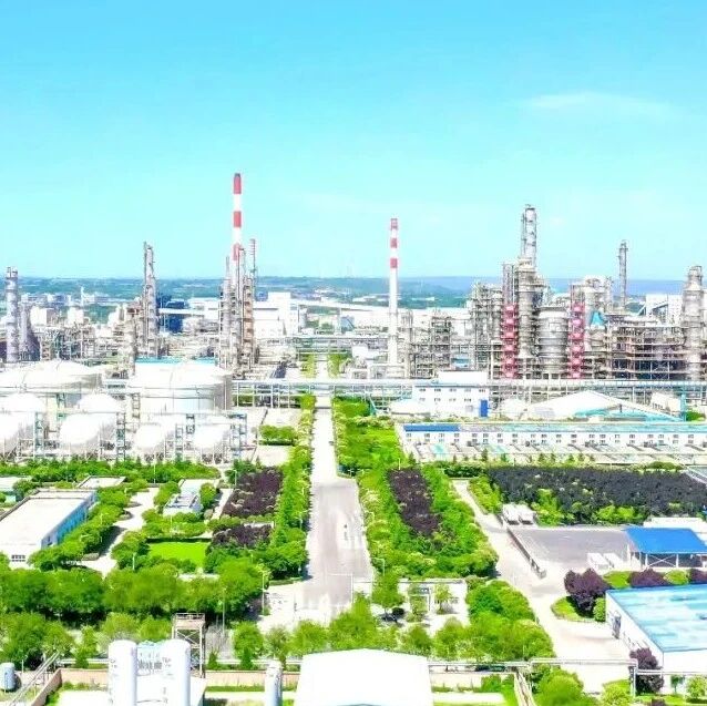 蒲洁能化党委：党建引领 以四种经营理念提质增效