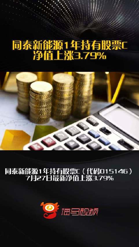 同泰新能源1年持有股票C净值上涨3.79%