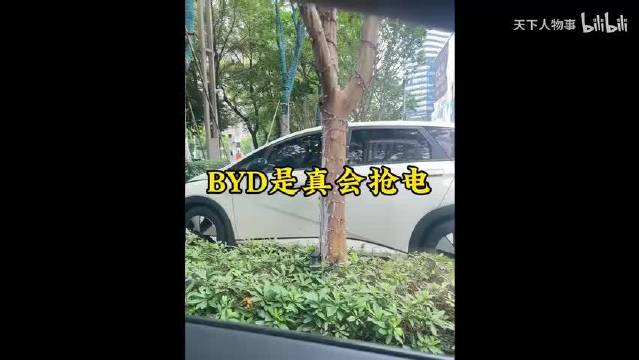 突然出大事了！特斯拉车主见到比亚迪海鸥掉头就跑！连拆车的修车师傅都吓坏了！