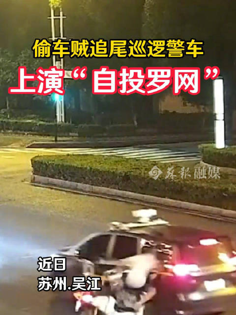 偷车贼追尾警车自投罗网